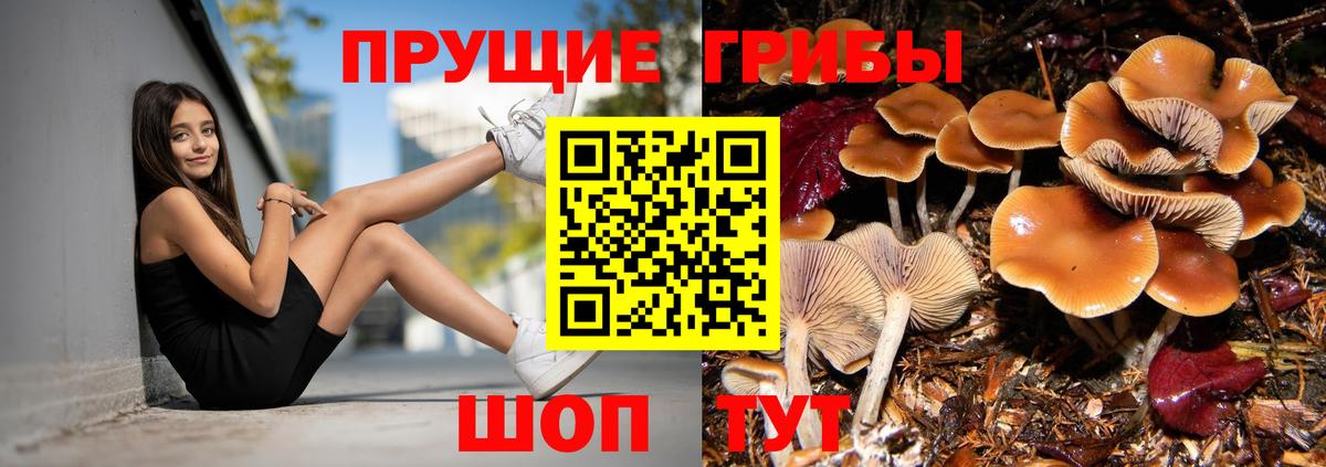 Псилоцибиновые грибы мухоморы Борзя