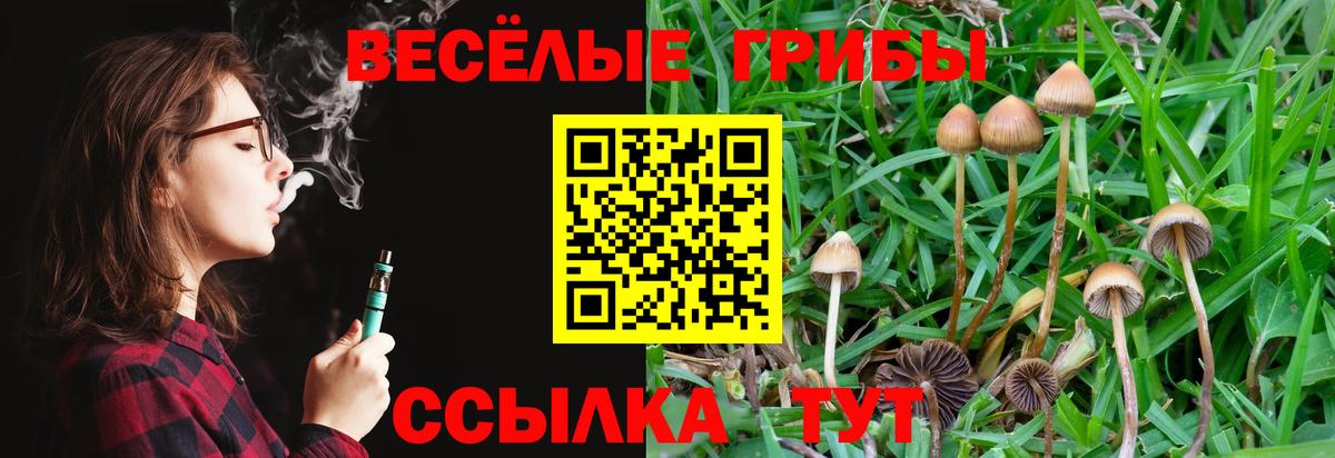 Борзя  Галлюциногенные грибы Psilocybe  Вход с VPN 