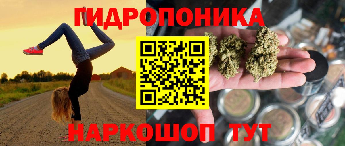 Конопля семена  Каннабис THC 21%  Борзя  Вход с VPN  Бошки марихуана Bruce Banner  Канабис сатива 